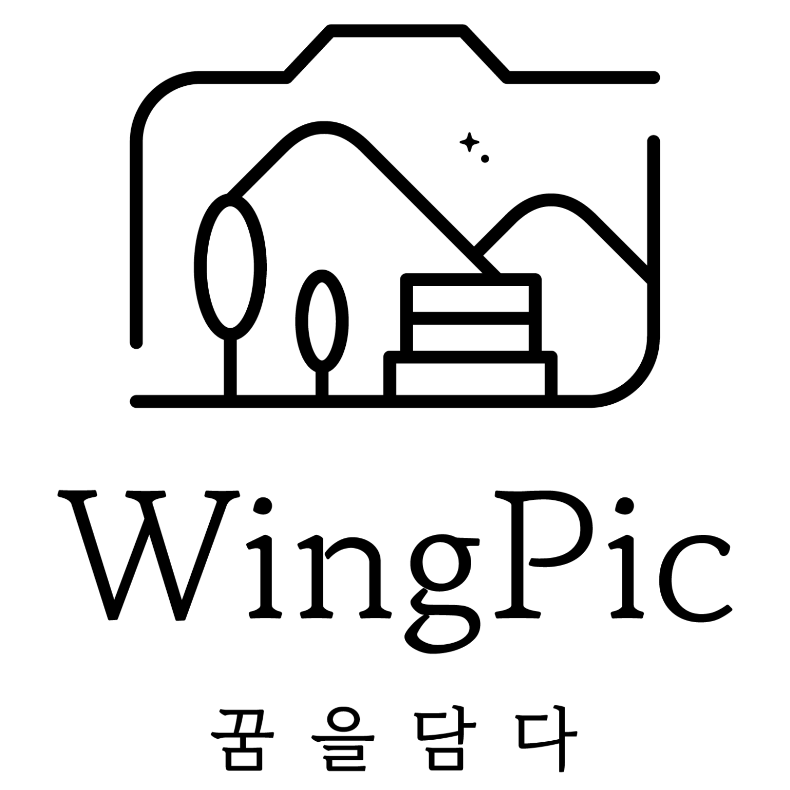 WingPic